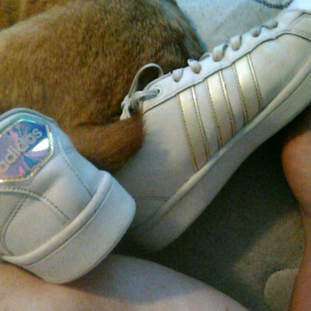Adidas Holo shoes